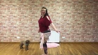 Belly Dance Queens Signature Moves Pt2 Show Reel