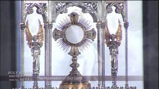 Holy Rosary and Devotions with the Franciscan Missionaries of the Eternal Word - 2021-02-10 - Holy R