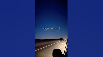 اسمعها بقلبك ❤️ تلاوة تهز المشاعر بصوت #ياسر_الدوسري 🌿 #سورة_المؤمنون #قرآن_كريم #راحة_نفسية #quran