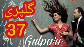 گلپری دوبله فارسی قسمت ۳۷ | Gulpari Part 37