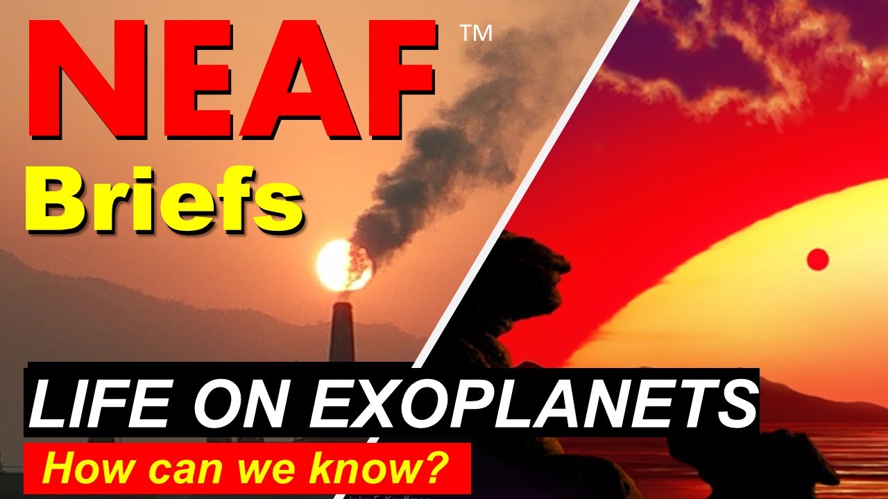 NEAF Talks