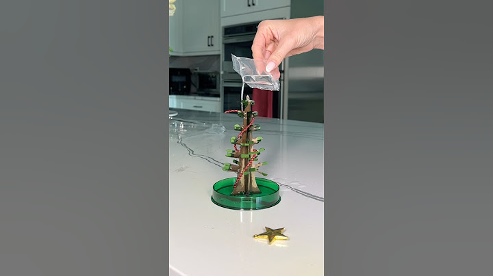 Growing a Christmas tree!! I hope this works…🎄