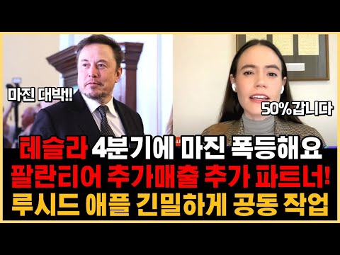   테슬라 4분기에 마진 폭등해요 타샤키니 마진 50 갑니다 팔란티어 추가매출 파트너 나왔어요 루시드 애플 긴밀하게 공동 작업하고 있어요