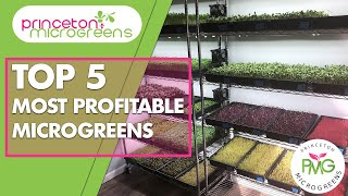 Top 5: Most Profitable Microgreens screenshot 3