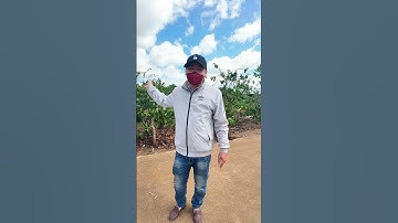 Đất rẻ 20 triệu mét ngang tại Đức Trọng  #bandatdalat #datdat #datgiare #batdongsanhomnay #dulich