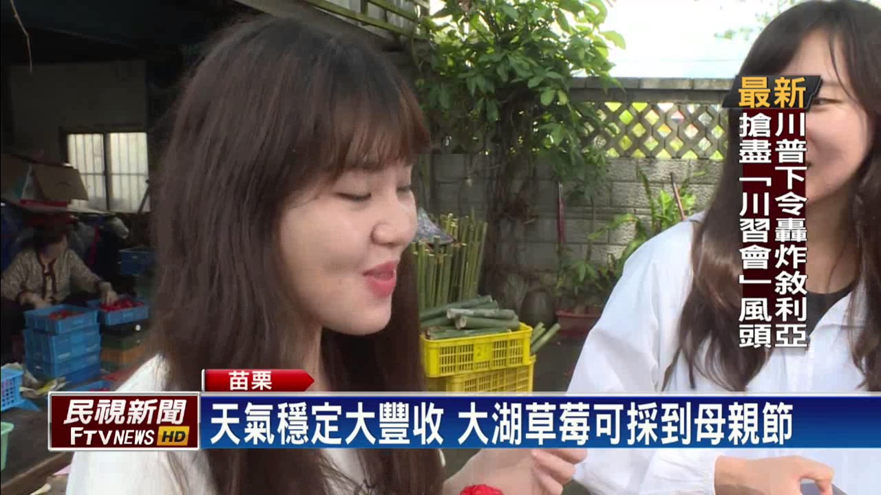 天氣穩定大豐收大湖草莓可採到母親節 民視新聞 Youtube