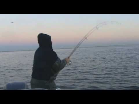 STRIPED BASS FISHING - Diamond Jigging Schoolie Stripers Off Fire Island NY