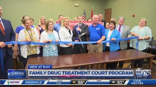 Family drug treatment court program