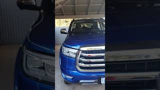 Download Lagu GWM 4 x 4 Cannon X 2021 MP3