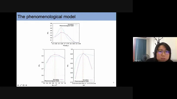 Technical Session 15 - Complex Flows 2 - virtual room Leone