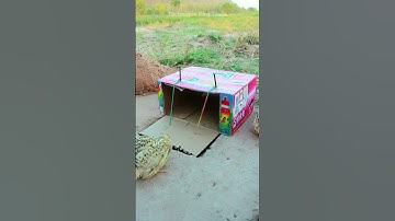 EASY simple quails trap / Underground quails trap #shorts