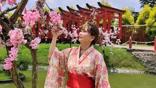 Here Is My Happiness ( cover by Willy Solaiman )