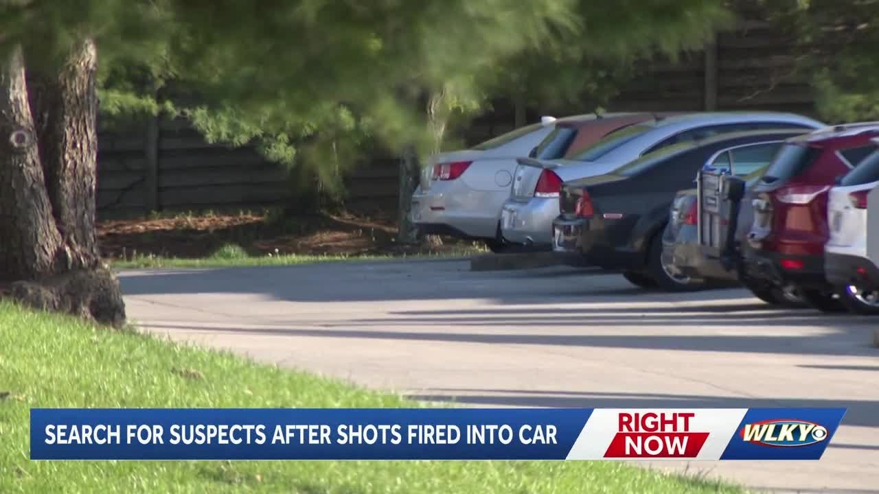 Middletown police searching for suspects after person shot at inside ...