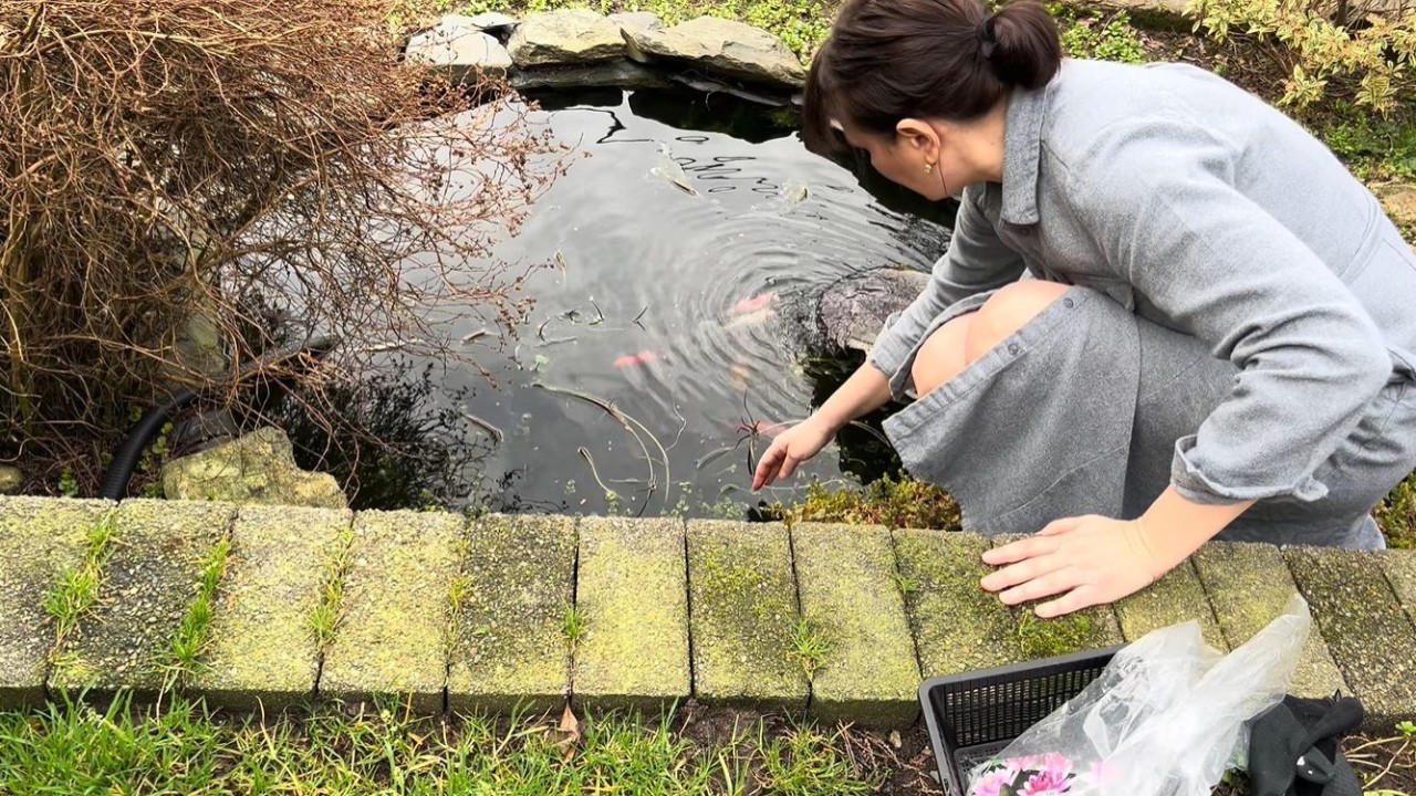 317. Супер новость, я такого не ожидала, обалдеть!😊