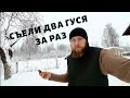 БЫТОВУХА СЕМИДЕТНОЙ СЕМЬИ! ПРОБЛЕМЫ С ХОЗЯЙСТВОМ... СЪЕЛИ ДВА ГУСЯ ЗА РАЗ!