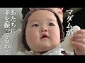【生後9ヶ月】お出かけVlog♩おすすめアイテムや購入品いろいろ