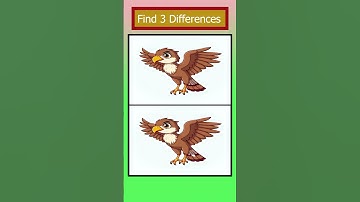 Find 3 Differences | Cartoon Hawk Challenge | Spot the Difference  #findthedifferences #puzzle