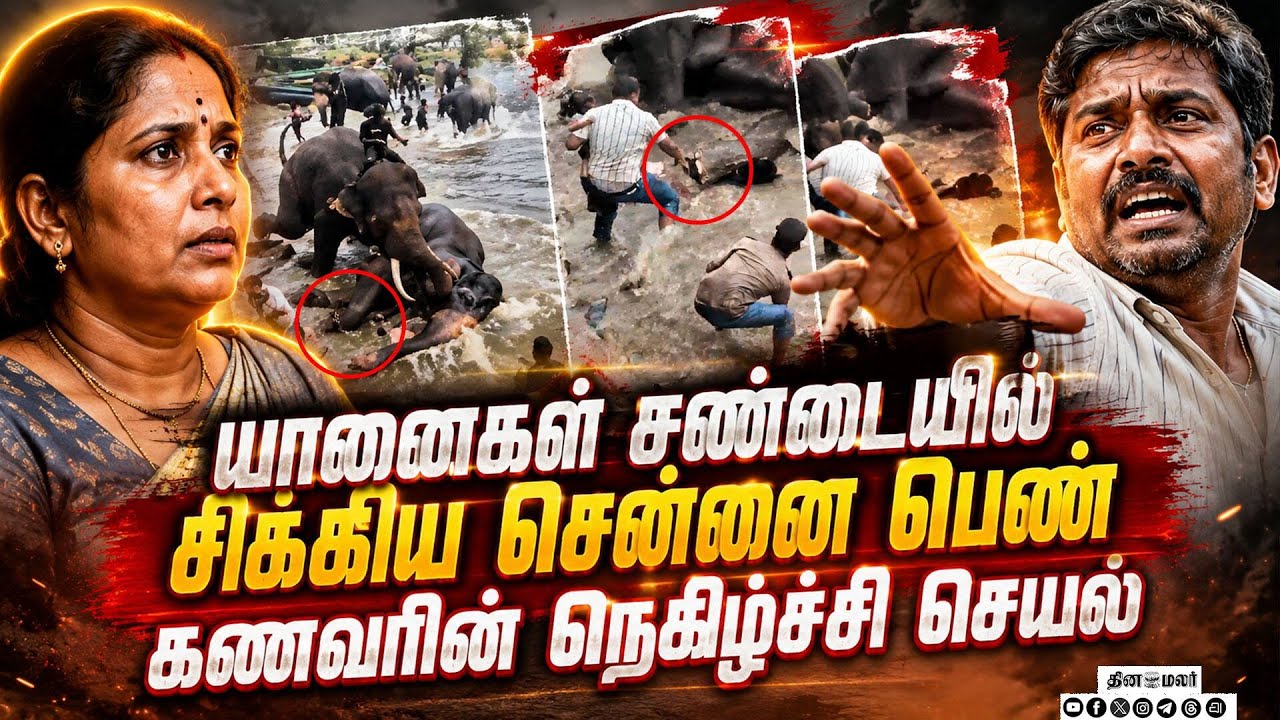 கணவன், குழந்தை கண் முன்னே சோகம் என்ன நடந்தது? | Dubare | Elephant Camp | Viral Video | Chennai Women