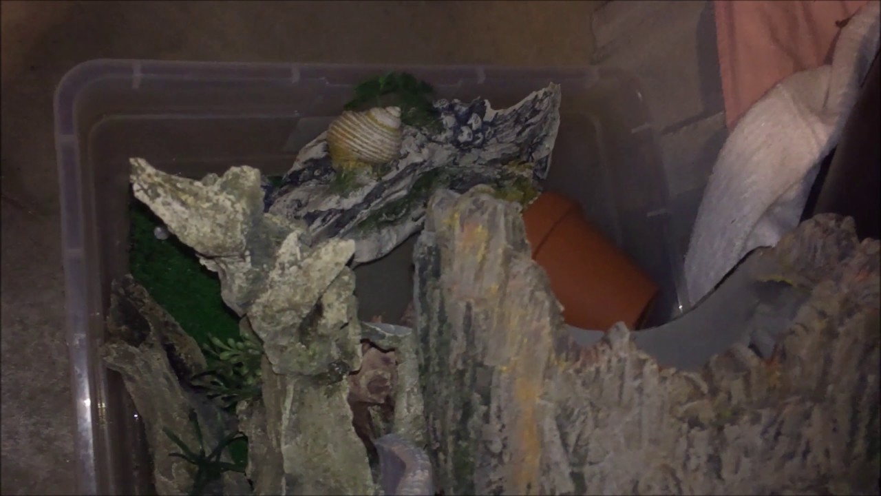 Improving the Axolotl's 300 Gallon Stock Tank