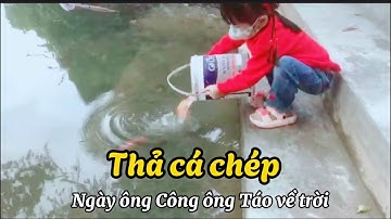 Bé thả cá chép tiễn ông Công ông Táo về trời 🐠🐠🐠