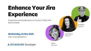 Enhance Your Jira Experience: Forge-Powered Visualizations for Custom Fields with External Data