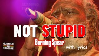 Not Stupid (Lyrics Video) by Burning Spear