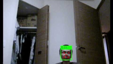 Tensorflow Lite + DBFace INT8 Quantization 256x256 + RaspberryPi4 CPU 4 threads + USB Camera 640x480