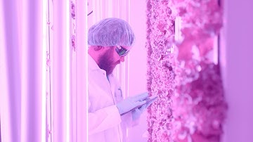 Hydropolis Vertical Farming: Technology of Controlled Environment Agriculture