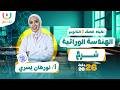 شرح الهندسه الوراثيه تالته ثانوي أحياء أ نورهان يسرى 2026