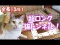 超ロングなダンボール猫トンネルに挑むネコ吉！　Neko Cat tried the “Ultra long handmade cardboard cat house”