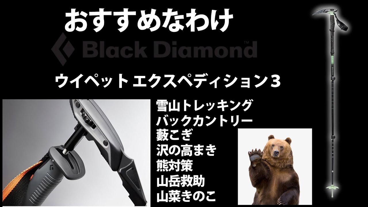 BlackDiamondブラックダイヤモンド トレッキングポール 山の店バック