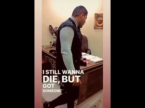 الهرم الرابع محمد كابو شركة حرسات خاصه