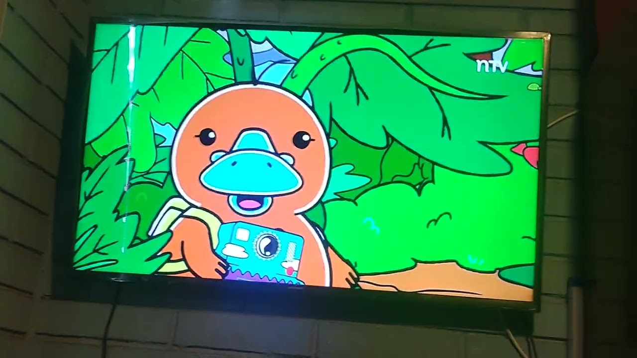 Hola flinko y el pudú 