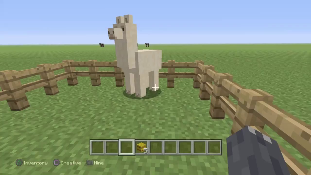 Can You Ride Llamas In Minecraft Ps4 How To Breed Llamas On Minecraft Console Versions Youtube