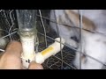 Bebedero automatico casero  para conejos y gallinas | como hacer un bebedero para mascotas