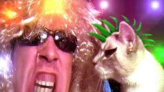 Kitty Kitty Metal Song