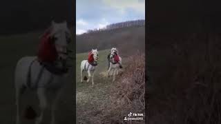 Petriti me Kuaj duke lujt atllart