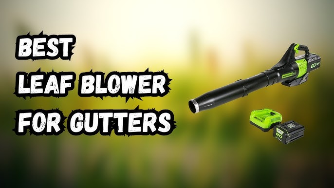 15 Best Leaf Blower Attachment For Gutters For 2023