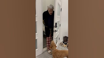 Daughter meets new babysitter for the first time #shorts