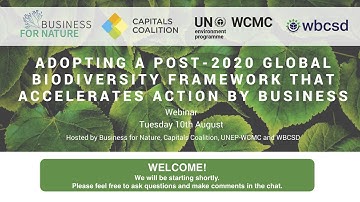 Adopting a Post-2020 Global Biodiversity Framework that Accelerates Action by Business - Session 1