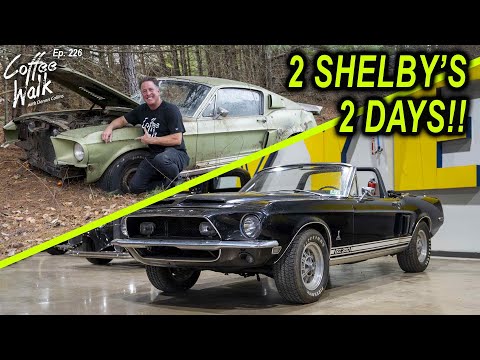 2 Shelby's in 2 days!!