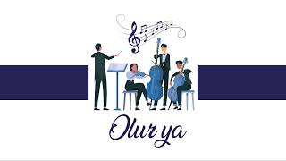 Olur ya (Mehmet Erdem) Karaoke - Enstrümental