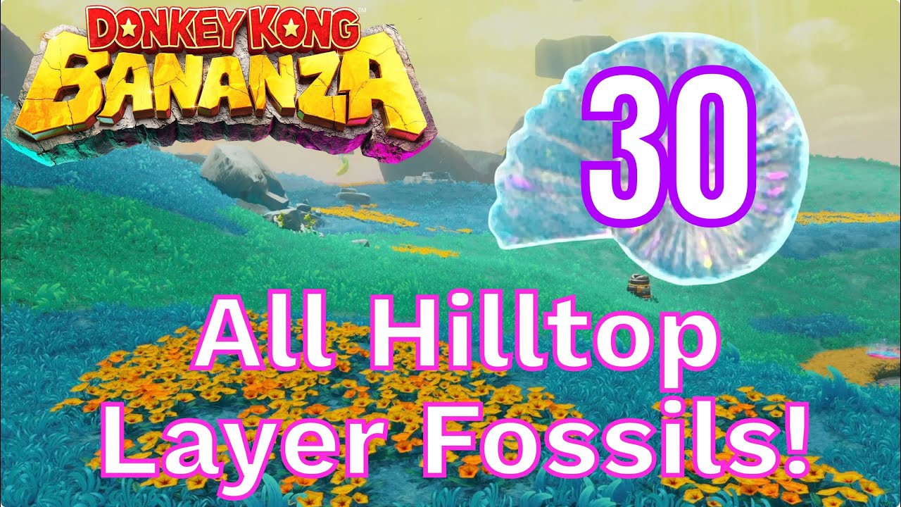 All 30 Hilltop Layer Fossils in Donkey Kong Bananza!
