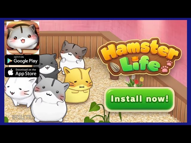 HAMSTER LIFE MATCH AND HOME  NOVO JOGO QUEBRA-CABEÇA, GAMEPLAY