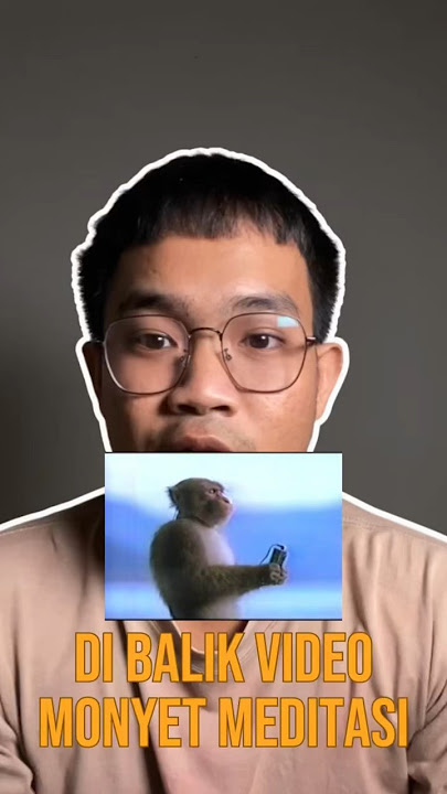 Dibalik video monyet yang mendengar earphone #short #monyet #earphone