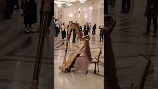 Минск,Театр ,перед постановкой в фойе играет арфистка (видео друзей)