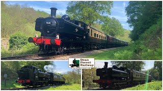 Dean Forest Railway - 9681in the Forest (08/05/2024)