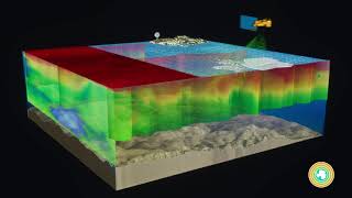 SOCCOM brings a fleet of robotic floats to the Southern Ocean to monitor ocean health