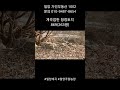 계곡접한 토지 263평 1억2천  문의 010-9487-8654 #밀양부동산매매#밀양계곡#밀양주말농장매매#밀양전원주택지매매