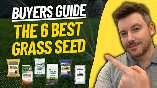 BEST GRASS SEED: Top 6 Grass Seeds (2023 Buying Guide) screenshot 1